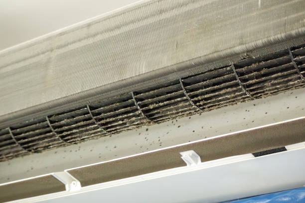 Best Air Duct Cleaning Near Me  in Amboy, IL