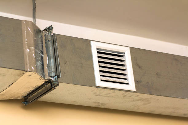 Best Ductwork Cleaning Services  in Amboy, IL